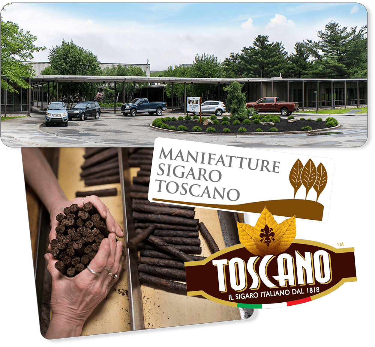 Scranton PA, Avanti Cigar Company, Toscano, dry cured cigars