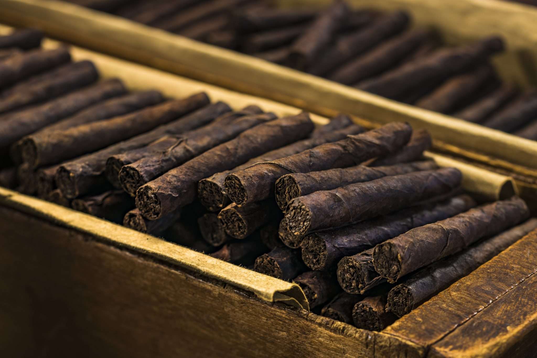 Keeping Your Avanti Cigars Fresh Avanti Cigar Company News & Updates