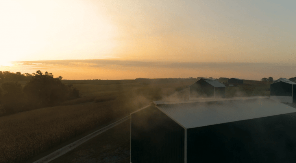 Kentucky Smoking Barns 