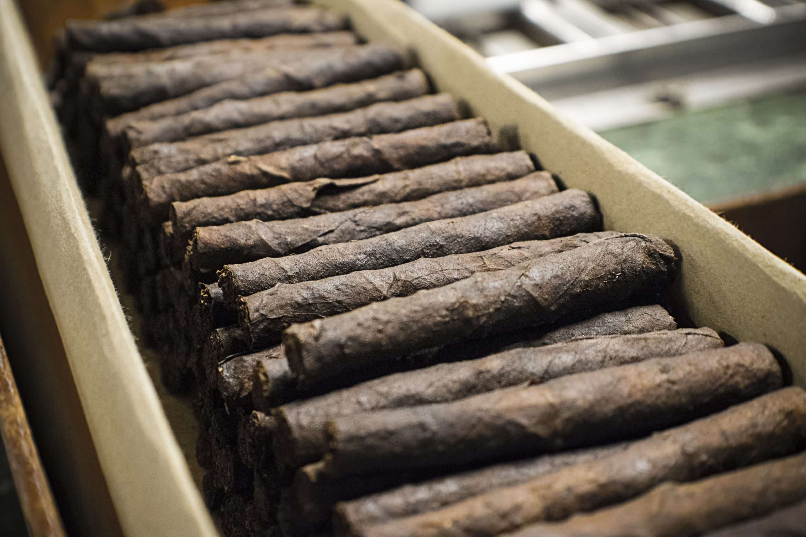 DryCured Perfection Avanti Cigar