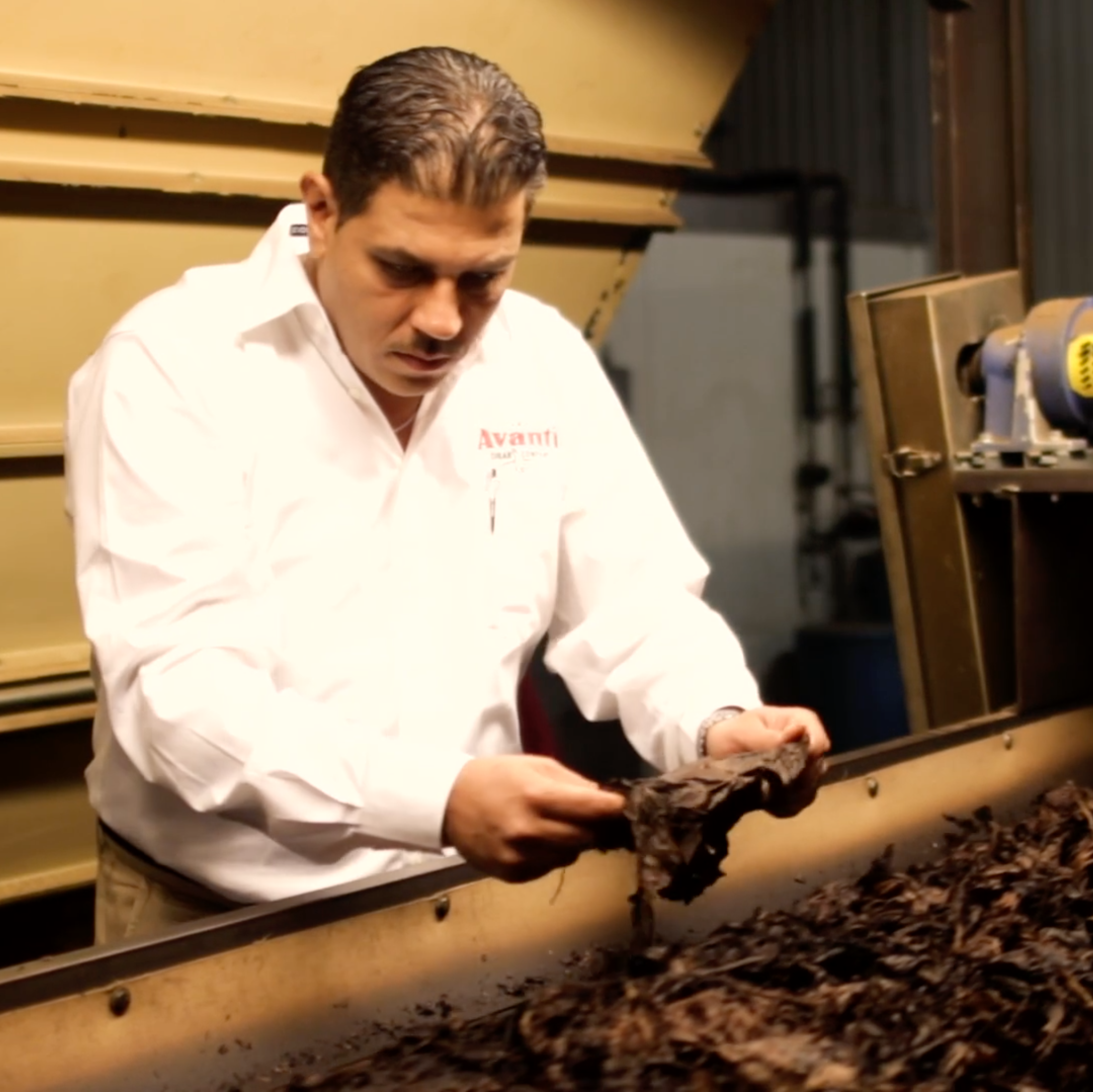 Danilo Finizio - Master Blender inspecting tobacco