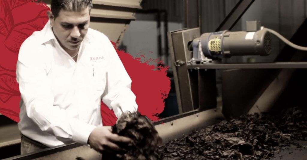 Danilo Finizio, Avanti's Master Blender